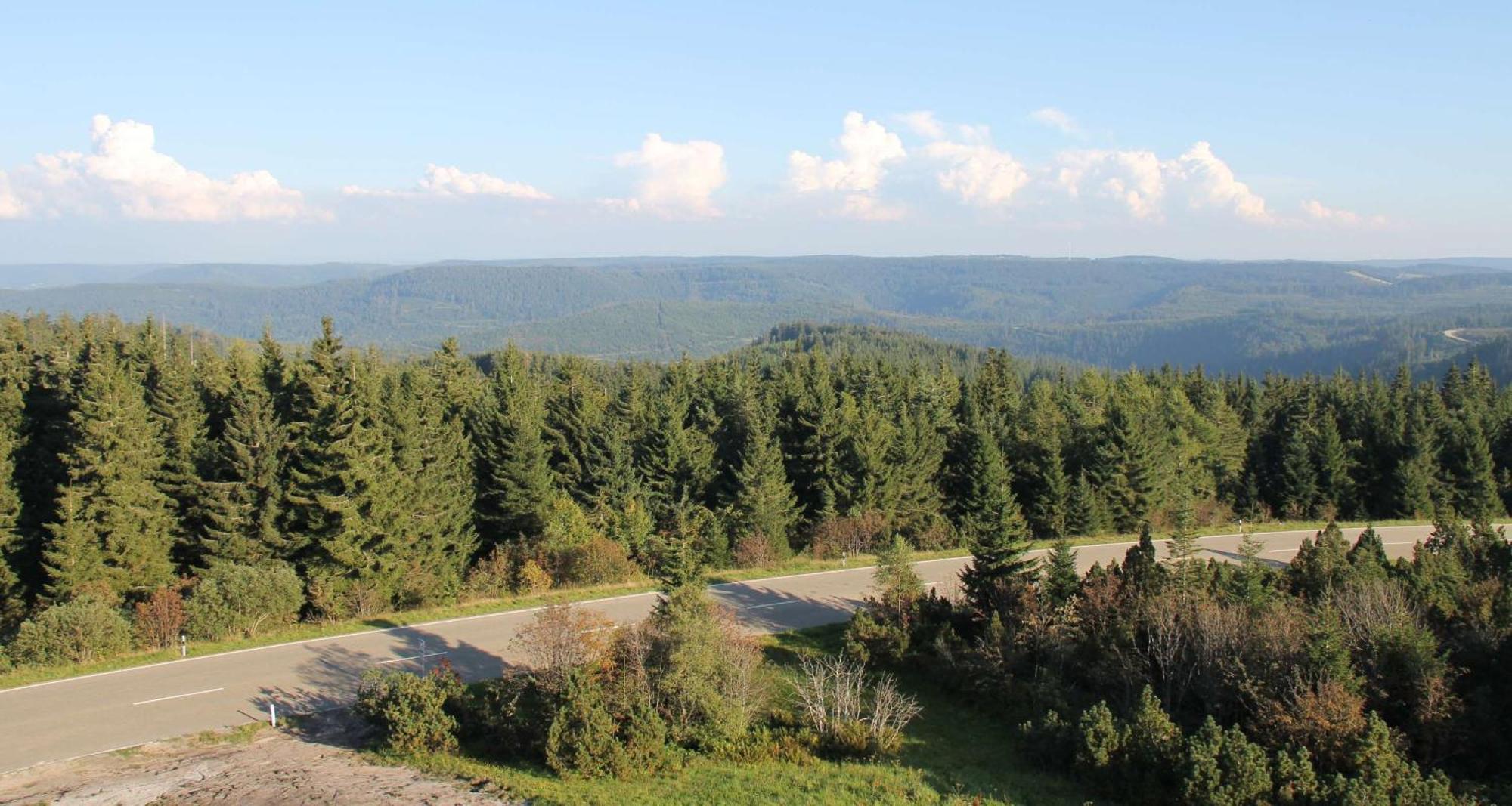 Hotel Wellness-& Nationapark Schliffkopf, Bwsc