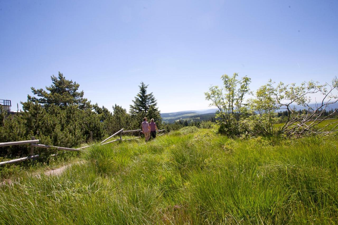 Hotel Wellness-& Nationapark Schliffkopf, Bwsc Baiersbronn