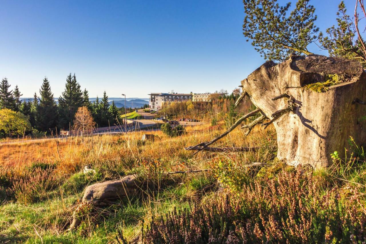 Wellness-& Nationapark Schliffkopf, Bwsc 4*